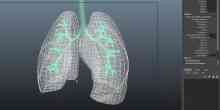 John McGhee&#039;s medical visualisations: Cystic Fibrosis